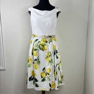 ADRIANNA PAPELL Lemon Print Belted Dress 6